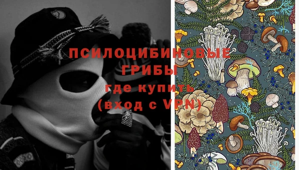 кокс Михайловск